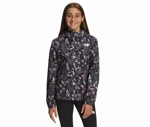 The north face - the,